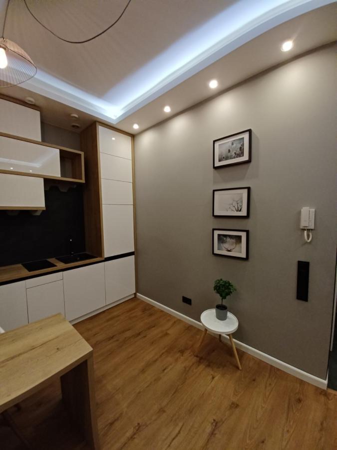 Apartament Piotrkowska 37 Studio Łódź Kültér fotó