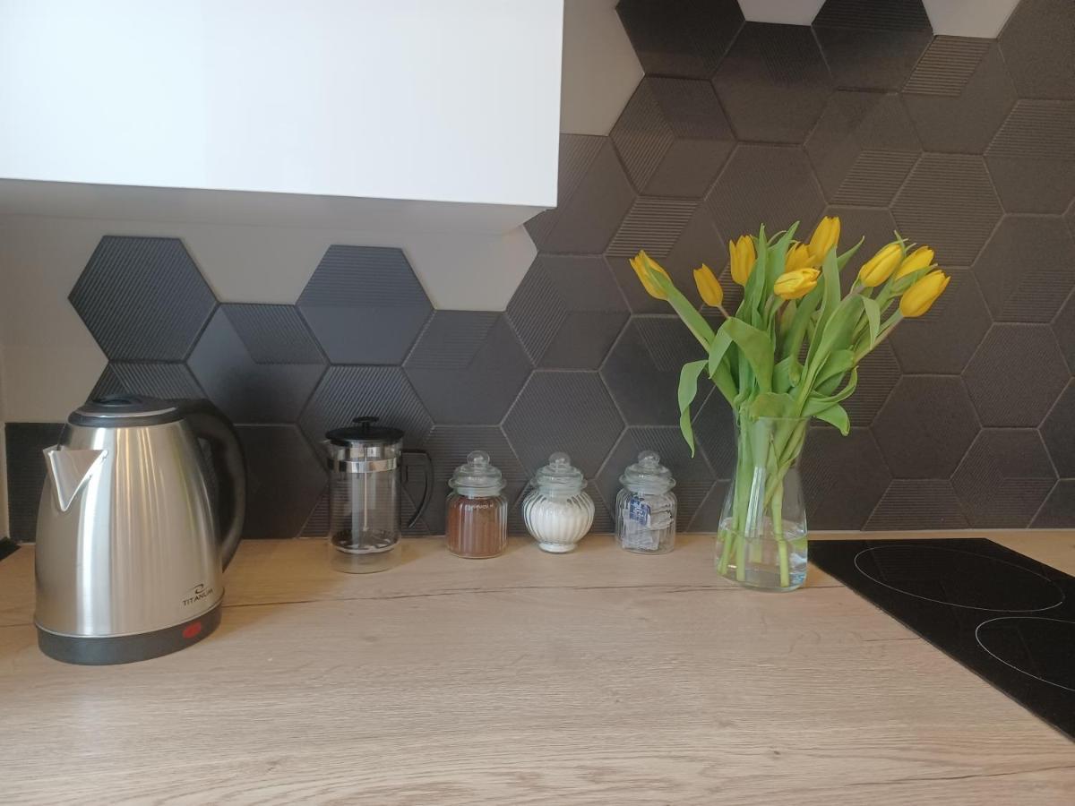 Apartament Piotrkowska 37 Studio Łódź Kültér fotó