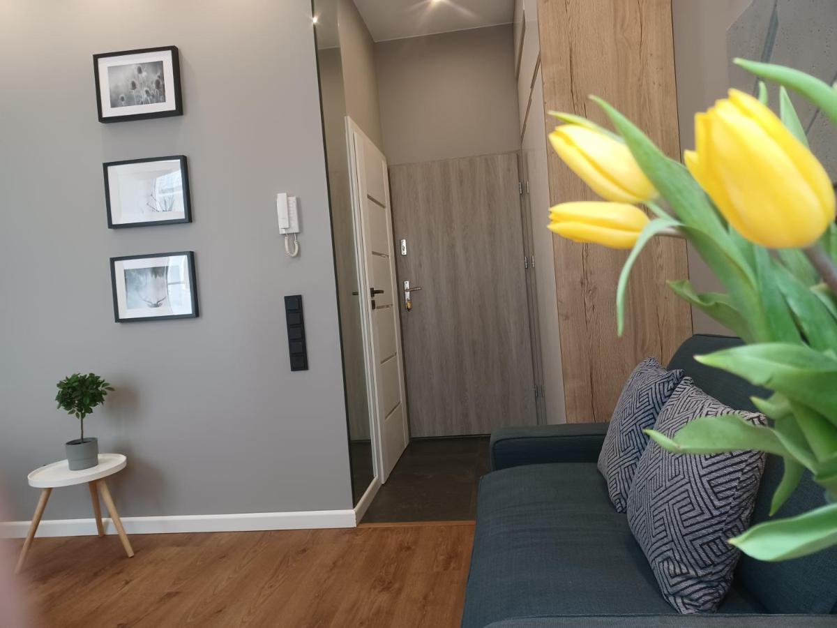 Apartament Piotrkowska 37 Studio Łódź Kültér fotó
