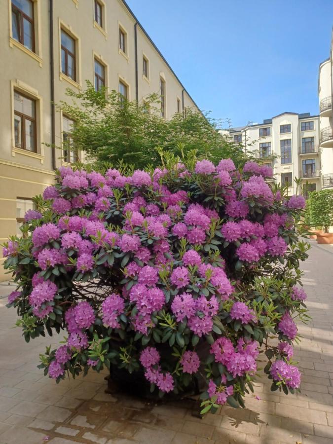 Apartament Piotrkowska 37 Studio Łódź Kültér fotó